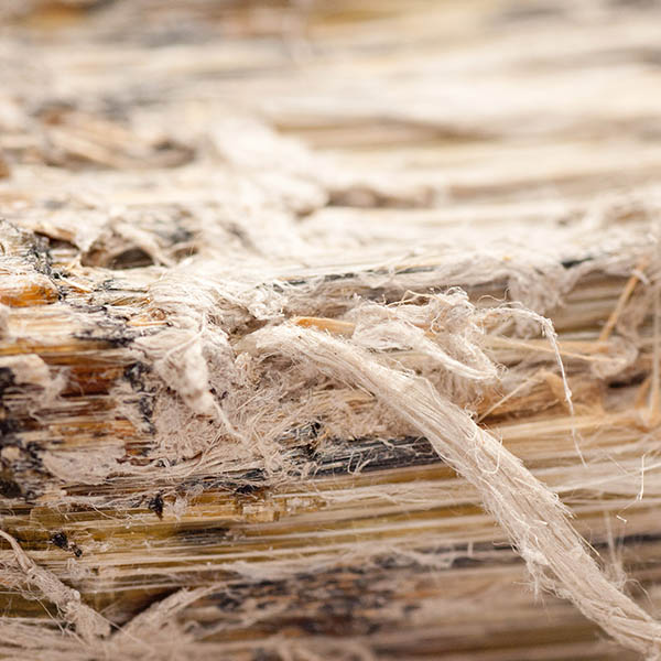 Asbestos Exposure Compensation Claim Specialists / No Win, No Fee / Accident Claims Sunderland